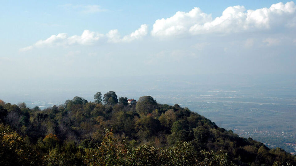 3 yıldır aranıyordu! Ormanlık arazide bulundu...