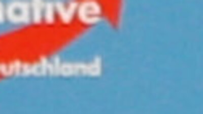 Almanya'da alarm çanları: Aşırı sağ rekor oya ulaştı