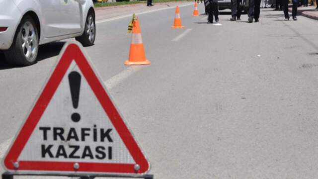 Köpeğe çarpmamak için direksiyonu kırdı, kaza yaptı