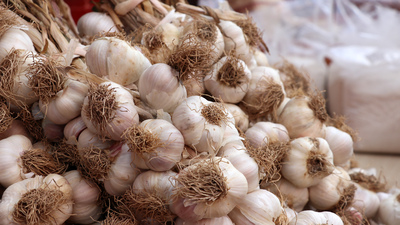 'Düşük rekolte, yüksek fiyat'