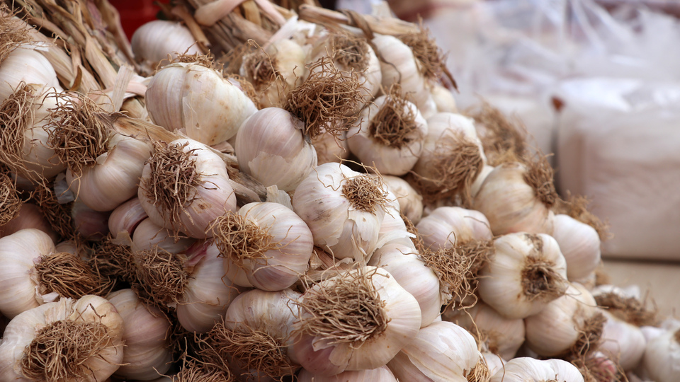 'Düşük rekolte, yüksek fiyat'