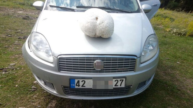 Yaylada buldu, telefona sarıldı! Tam 5 kilo!