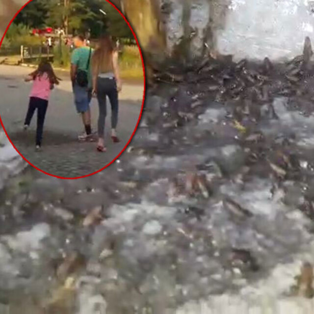 Binlercesi yola çıktı! Basmamak için ne yapacaklarını şaşırdılar