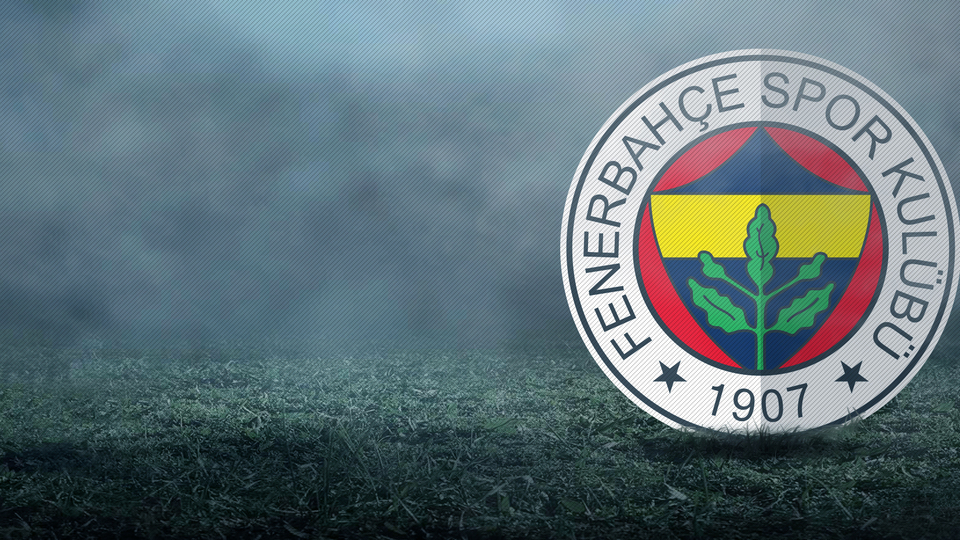 Fenerbahçe, İsviçre'de