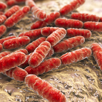 Sağlıklı bir insanı bile günler içinde öldürüyor!