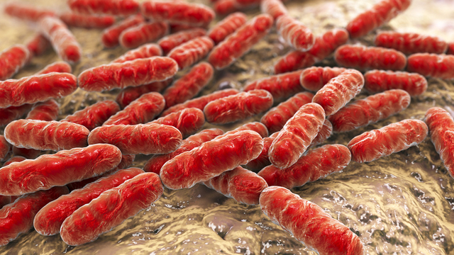 Sağlıklı bir insanı bile günler içinde öldürüyor!