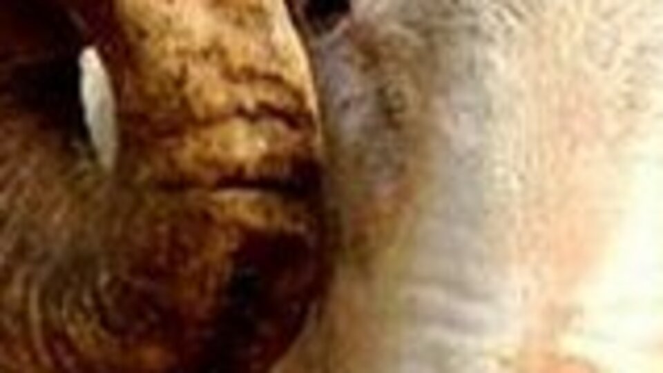 Kurban Bayramı ne zaman?