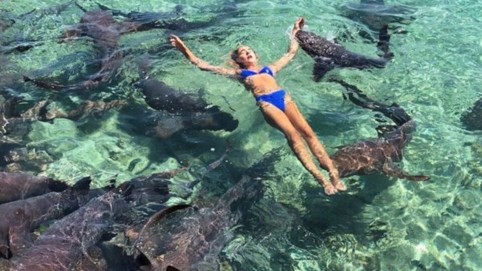 Instagram pozu vermek için suya girdi, köpekbalıklarına yem oldu!
