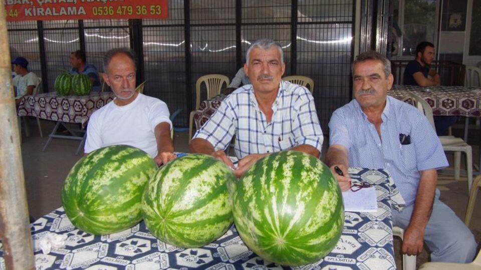 20 kuruşa düştü ama alıcı yok