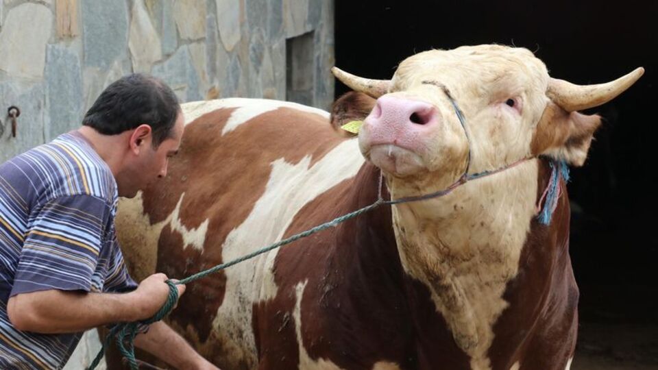 Kurban Bayramı tarihi!