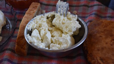 Evde peynir nasıl yapılır?