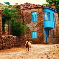 Hayal kurmak bedava: Gökçeada'ya gitmek için 10 neden