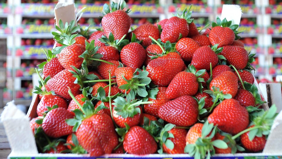 Köprübaşı çileğine çifte patent