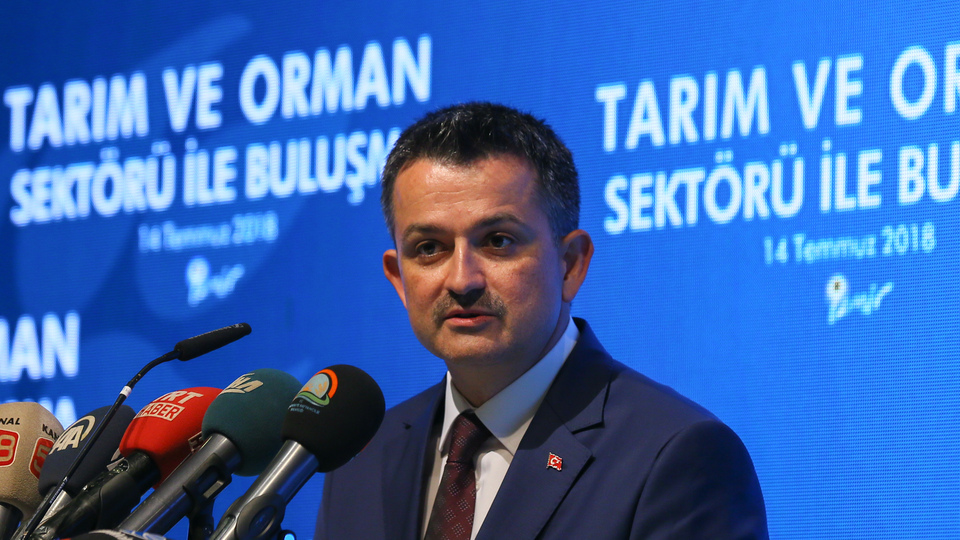 'Beni her yerde göreceksiniz'
