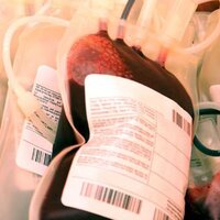 Hangi kan grubu kimlere kan verir?