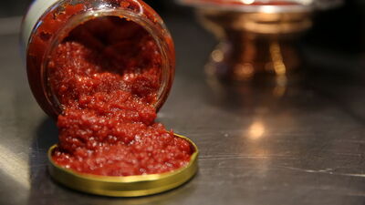 Geçen yıl 4 kişiyi öldürmüştü! Konserve can alıyor!