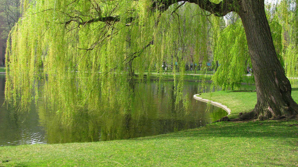 İkinci millet bahçesi nereye yapılacak?