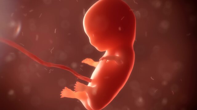 İnsan embriyosunun 'genleri değiştirilebilir'
