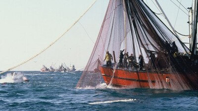 Denizlerde av yasağı ne zaman kalkacak?