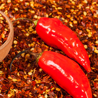 Hepsi birbirinden faydalı!