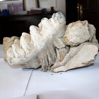 Yozgat'ta çiftçi tesadüfen buldu!