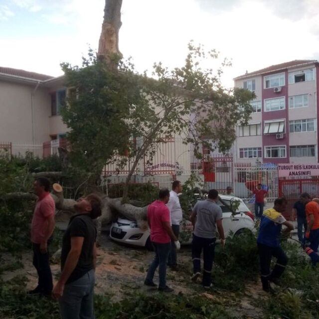 400 yıllık bir anıttı! Sabah bu dehşet manzaraya uyandılar