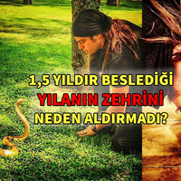 Aref 1,5 yıldır beslediği yılanın zehrini neden aldırmadı?