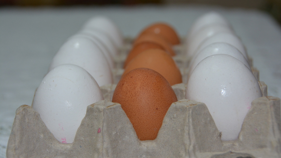 'Yumurta fiyatları yüzde 90 arttı' iddialarına cevap!