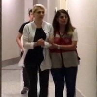 Kedicikler adliye koridorlarında görüntülendi