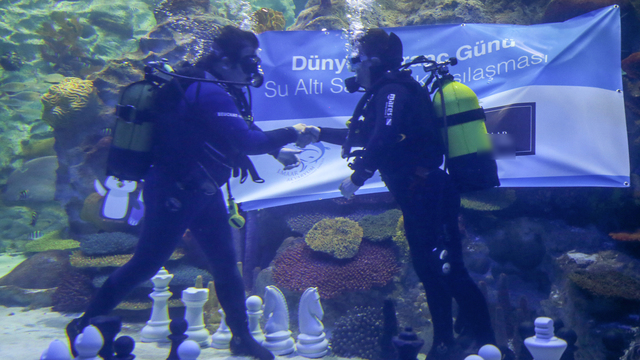 Dünya Satranç Günü su altında kutlandı