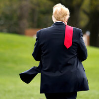 'İstikrarlı dahi' eleştiri ve hakaret yağmuruna aldırmıyor!