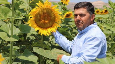 Çin Türkiye'yi çekirdek ile vurdu