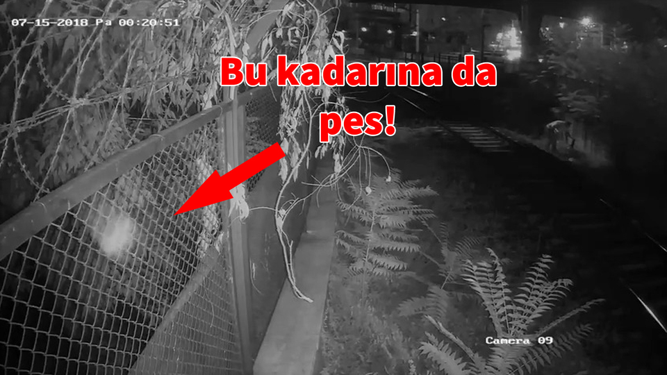 Yavru kediye kürekle şiddet!