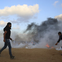 Filistinli gazeteci şehit isimlerini görünce şoka girdi: O benim kardeşim!