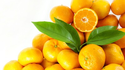 Egeli yaş meyve sebze ihracatçılarından Muğla çıkartması