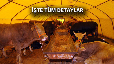 Kurban Bayramı toplamda kaç gün?