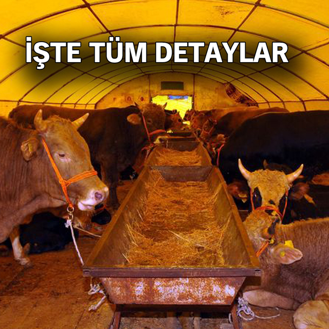 Kurban Bayramı toplamda kaç gün?