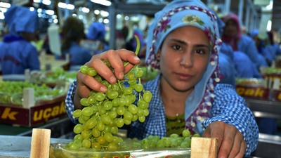 Sultaniye üzümü dünyaya açılıyor