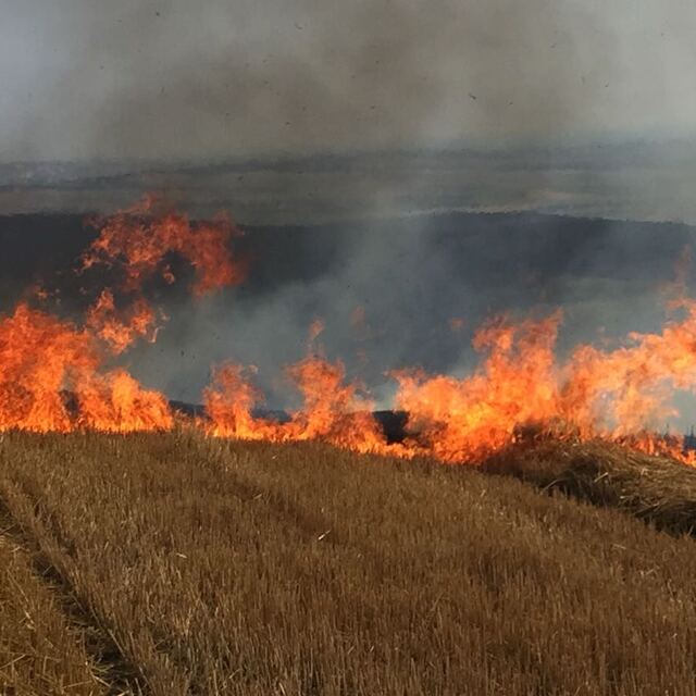 TZOB uyardı! Sakın yakmayın