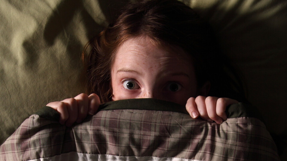 Gök gürlemesi en çok onları korkutuyor