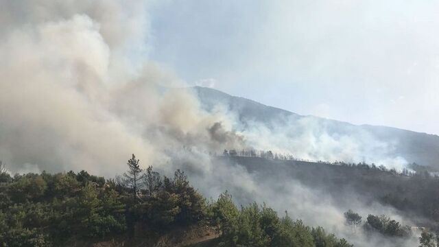Hatay'da orman yangını! Havadan ve karadan müdahale ediliyor