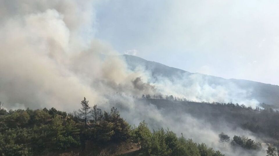 Hatay'da orman yangını! Havadan ve karadan müdahale ediliyor