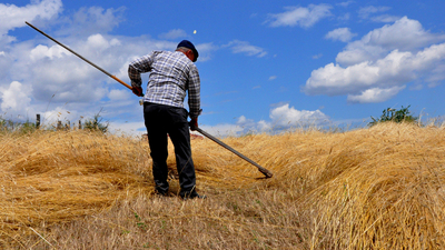 Çiftçilere 31 Temmuz uyarısı