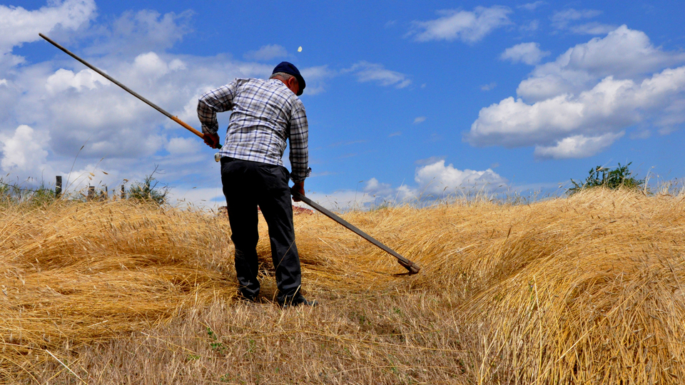 Çiftçilere 31 Temmuz uyarısı