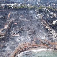 İşte Yunanistan'daki yangının çıkış nedeni!