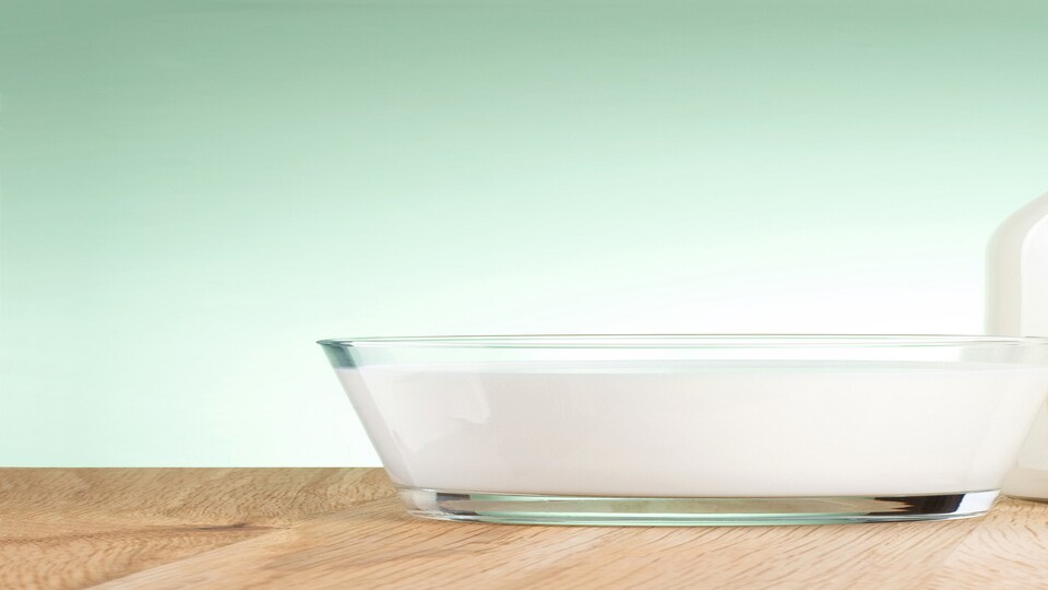 Bayraktar'dan Süt Konseyi'ne çağrı