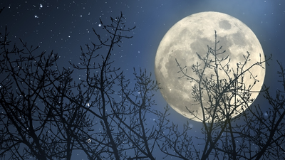 Kanlı Ay tutulması öncesi Ay'la ilgili her şey...