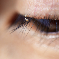 Her uyuduğunuzda ortaya çıkıyorlar!