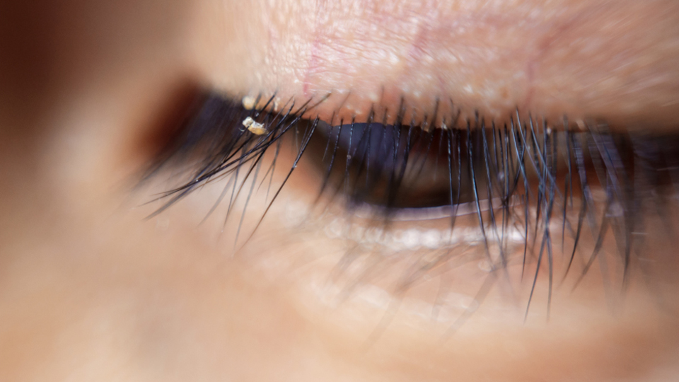 Her uyuduğunuzda ortaya çıkıyorlar!