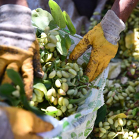 Fiyatı 170 TL'den 95 TL'ye kadar düştü